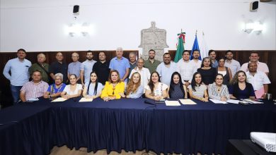nstalan Consejo Ciudadano del Centro Histórico de Puerto Vallarta