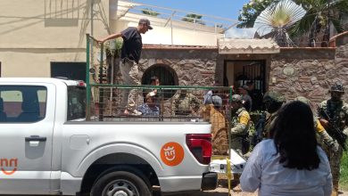 La leona “Kiri Kiri” asegurada en un operativo de alto impacto en Puerto Vallarta