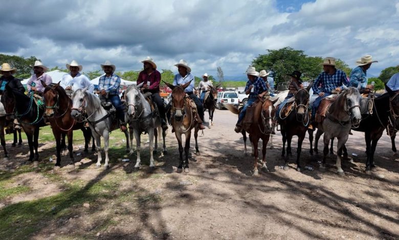 las paseadas de Las Palmas