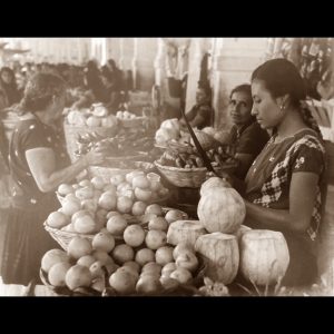 Pueblos Indigenas