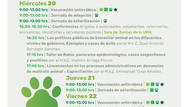 Feria del Bienestar Animal En Puerto Vallarta