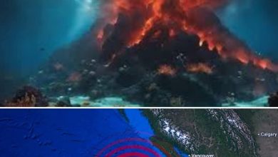  Un monstruo oculto bajo el Pacífico está despertando: el Axial Seamount