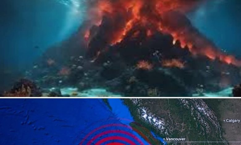 Un monstruo oculto bajo el Pacífico está despertando: el Axial Seamount