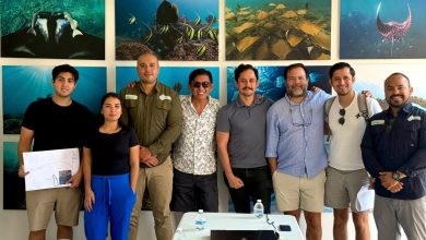 Proyecto del Parque Agua Azul