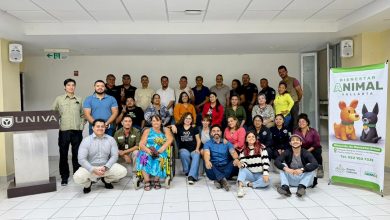 actualización del Reglamento de Protección Animal en Vallarta