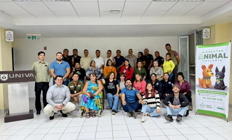 actualización del Reglamento de Protección Animal en Vallarta