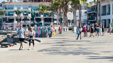 Puerto Vallarta retoma su ritmo: movilidad total y actividad turística al 100%