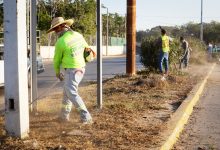 Rehabilitan camellones en la zona norte de Puerto Vallarta