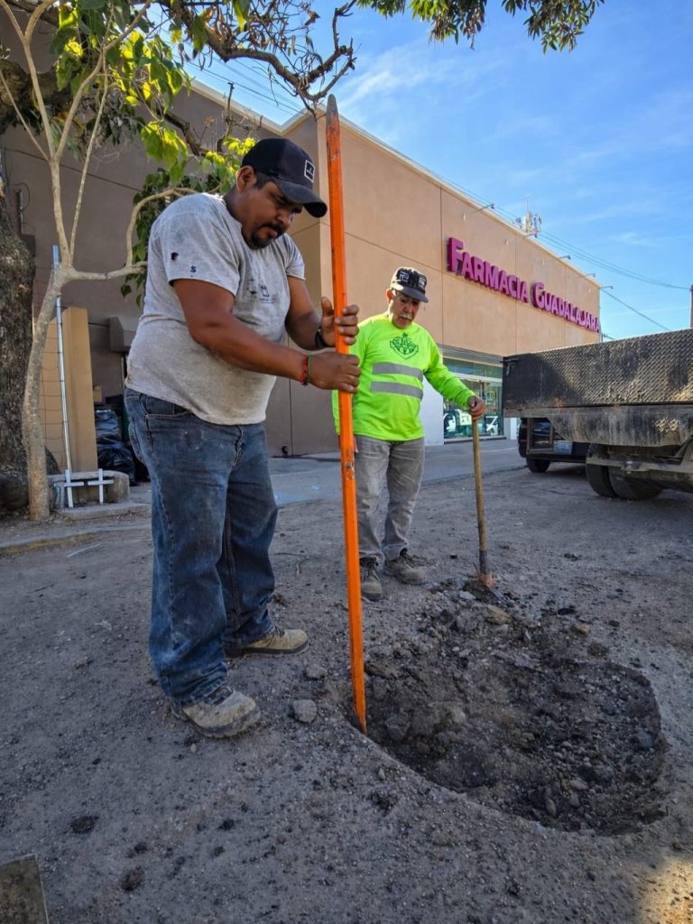 Programa de bacheo en Puerto Vallarta