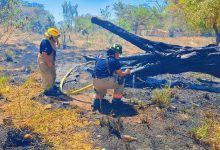Emite Protección Civil recomendaciones ante temporada de estiaje