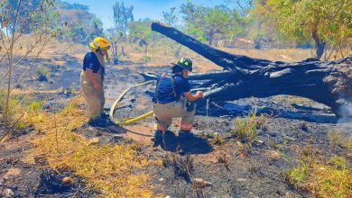 Emite Protección Civil recomendaciones ante temporada de estiaje