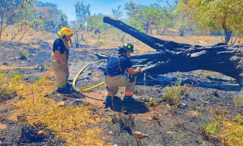 Emite Protección Civil recomendaciones ante temporada de estiaje