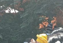 Cumpleaños de Lulu Manríquez