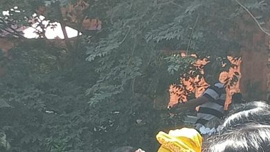 Cumpleaños de Lulu Manríquez