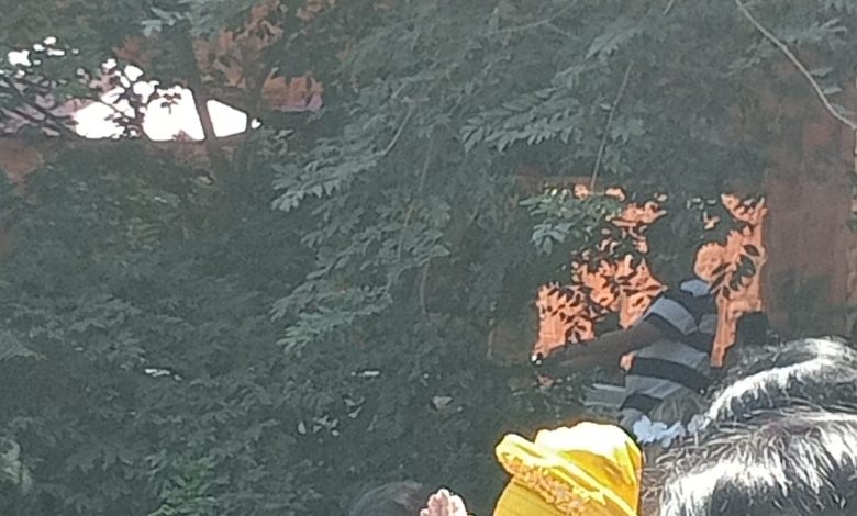 Cumpleaños de Lulu Manríquez