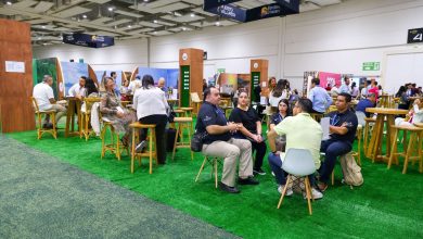 Resultados Gala Vallarta 2026