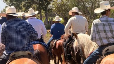 Cabalgata Mar y Tierra 2026