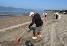 SEMARNAT, SEMADET, la Guardia Nacional y el regidor Christian Bravo Carbajal, con la participación del Campamento tortuguero Nakawe A.C. y WWF
