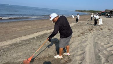 SEMARNAT, SEMADET, la Guardia Nacional y el regidor Christian Bravo Carbajal, con la participación del Campamento tortuguero Nakawe A.C. y WWF