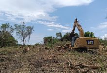 Desazolve y rehabilitación de caminos