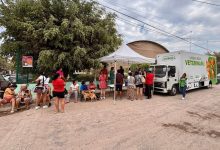 Superan las mil esterilizaciones gratuitas en Puerto Vallarta