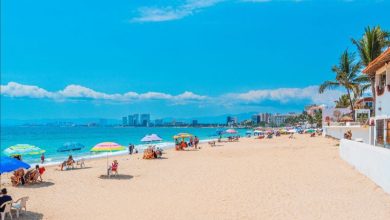 Verano 2026 en el Pacifico Mexicano