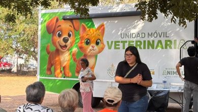 servicios gratuitos de atención médica veterinaria