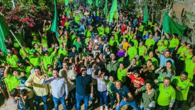100 EJÉRCITOS DEL VERDE.