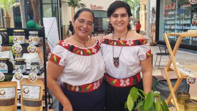 "Mercado Vallarta Incluye"