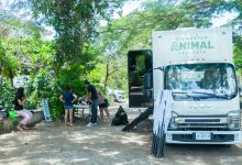 Atención Veterinaria Gratuita