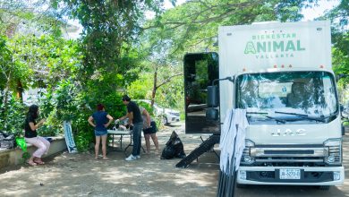 Atención Veterinaria Gratuita