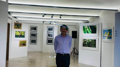 Pájaros que lloran, exposición Museo de la parroquia