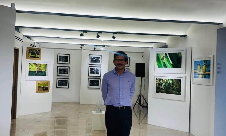 Pájaros que lloran, exposición Museo de la parroquia