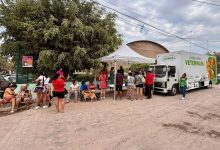 Esterilizaciones gratuitas en Puerto Vallarta