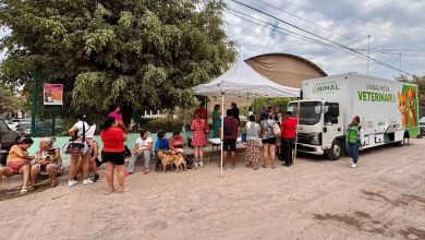 Esterilizaciones gratuitas en Puerto Vallarta