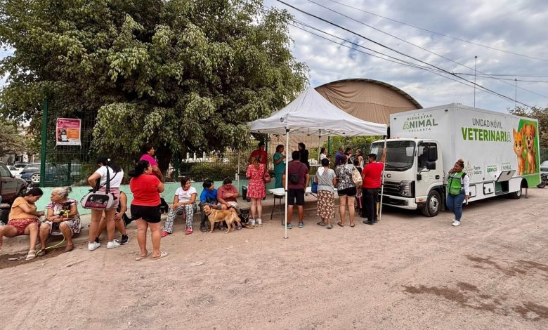 Esterilizaciones gratuitas en Puerto Vallarta