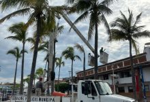 Continúa mantenimiento de espacios verdes en Puerto Vallarta