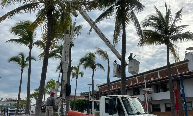 Continúa mantenimiento de espacios verdes en Puerto Vallarta